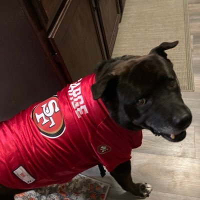 Steph7459194280's profile picture. 