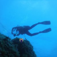 giordano alborghetti (@giordi63) 's Twitter Profile Photo giordano alborghetti (@giordi63) 's Twitter Profile Photo