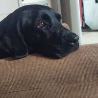 growatail (@growatail300) 's Twitter Profile