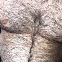 bearfizz (@bearfizz1) 's Twitter Profile