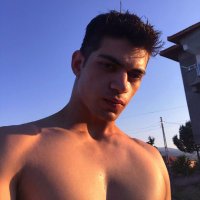 ergovan (@ergovan2) 's Twitter Profile