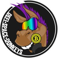 +DeFi Space Donkeys(@DFSpaceDonkeys) 's Twitter Profile Photo