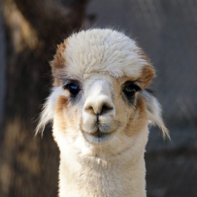 MajidHPCAI's profile picture. HPC and AI player