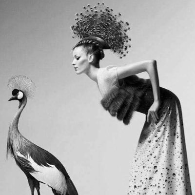 _giriftar_'s profile picture. 