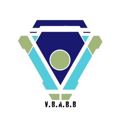 VBABBINC Profile Picture