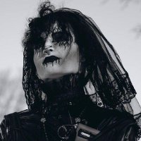 Viper 🦷(@pussyfest_) 's Twitter Profile Photo