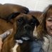 Brenda Boxer dog mom (@morgan_bre45576) Twitter profile photo Brenda Boxer dog mom (@morgan_bre45576) Twitter profile photo
