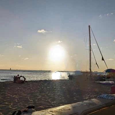 Afl1Hawks's profile picture. Lift heavy - Have fun
Go Hawthorn