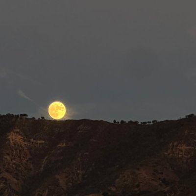 TBoure9696's profile picture. 