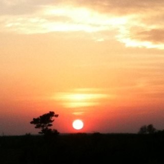 antifragile's profile picture. 