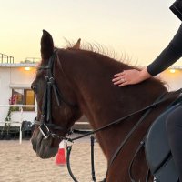 ABRAR (@akmalmutairii) 's Twitter Profile