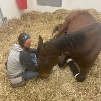 Because being a female sports fan that's plant based isn't always easy 😎 Wanna be writer and reformed FFA alumni.  OTTB mom. #PlantBased #MLB #Rays #BLM