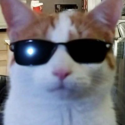 Mizuさんのプロフィール画像