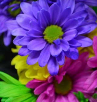 cubeit2010's profile picture. 