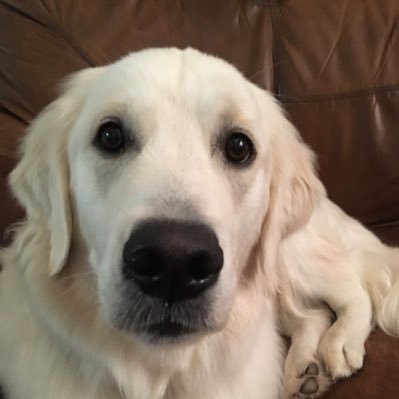 Joe995910721571's profile picture. 