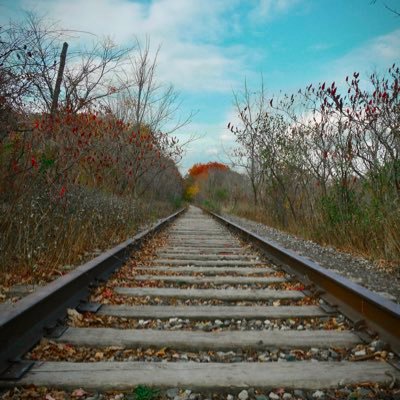 yu__01_20's profile picture. KWU 大英卒 / RAD / 米津玄師 / Ed Sheeran / 방탄소년단 1209.23-🇨🇦