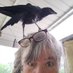 Sharon Simmons (@sharoninwv) Twitter profile photo Sharon Simmons (@sharoninwv) Twitter profile photo
