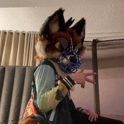 | Louisiana Furry | 18 | Streamer | Gamer | Bi and Demi | Single | he/they/she |