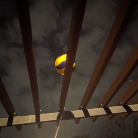 eWQ9HPCaQcJawD9's profile picture. .......