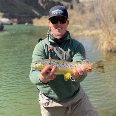McCauley Todd Profile
