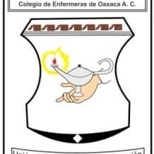 Representantes en el estado de Oaxaca de los profesionales de Enfermería