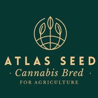 Atlas Seed(@atlasseedf1s) 's Twitter Profileg