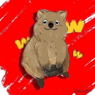 Wｰ君🌐さんのプロフィール画像