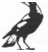 NarreWarrenCC's profile image
