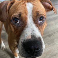 Mike (@mikes_seen_it) 's Twitter Profile