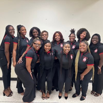 The Exquisite Ladies of the Eta Psi Chapter of Delta Sigma Theta Sorority, Inc. #BarNone