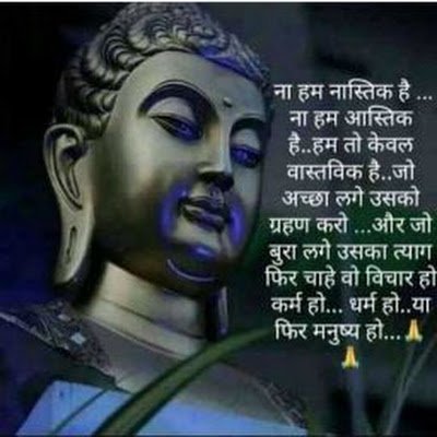 kaptan_kus59255's profile picture. 