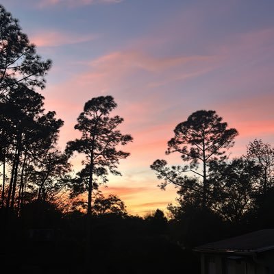 este perfil ama los atardeceres