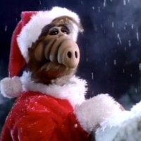 🎄alf asozial🎄 (@fruitzifer) 's Twitter Profile