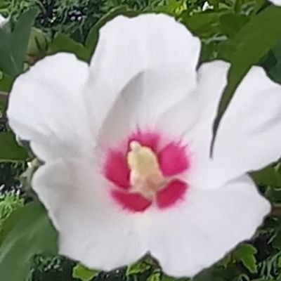 YouuJust1's profile picture. 未来へ🍀今を楽しく楽しく。🌞
新地球に変わる時代に生きて
いて良かった🌈自分を信じ魂の判断に委ね自分軸を貫いた内面👍️✨🌟🎇❣️新しい
地球に🎉✨☀️✨🎇🍿🎉
⚡弥栄～✨🍺✨🍺