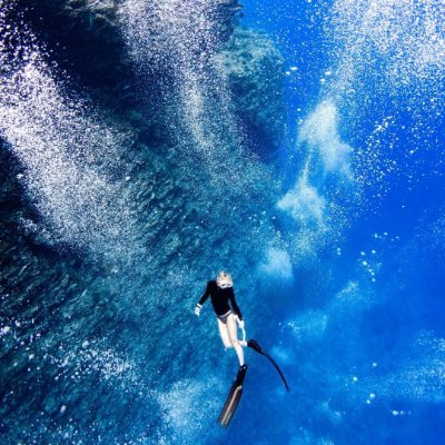 shadowdafuq5's profile picture. 趣味アカです🐠
主に海水魚、たまに植物、メダカ、車…など