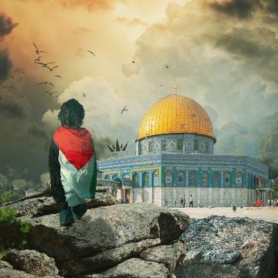 mhmalamin's profile picture. 