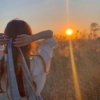 Noshoushy (@noshoushy37863) 's Twitter Profile