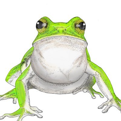 frogboy_art Profile Picture