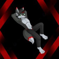 ❤️🐺Wolfboysknott02🐺❤️ (@wolfboys_knott2) 's Twitter Profile