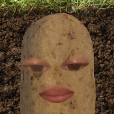 harvest moon pro player