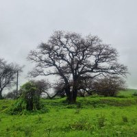 عبدالله السِّيَابِي (@3kzss) Twitter profile photo