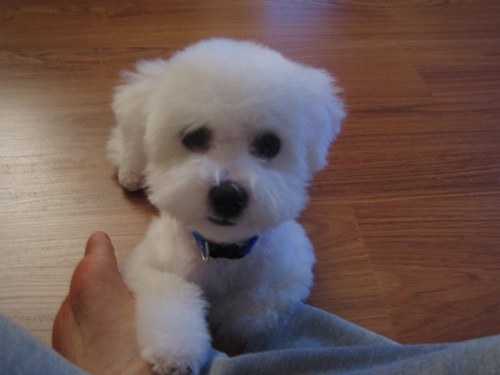 jihomoon83's profile picture. 