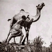 أبو عبيدة الصُّومَالِي (@abo_ubaidah9) Twitter profile photo