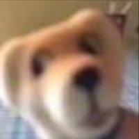 gaozzzzz (@gaozzzzz83886) 's Twitter Profile