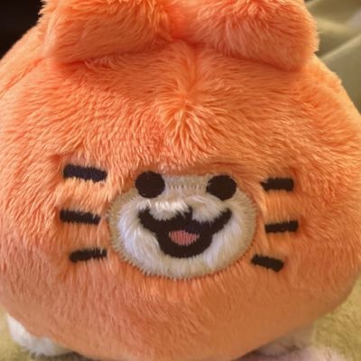 家のみかんねこちゃんぬいぐるみを愛でるアカウントです🍊 (₍• ̫•₎ ̳ )