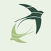 Studio Hirondelle RDC (@hirondellerdc) Twitter profile photo Studio Hirondelle RDC (@hirondellerdc) Twitter profile photo