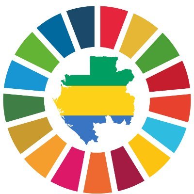 Compte alternatif du PNUD Gabon, premier compte (@undpgabon) temporairement indisponible.
UNDP Gabon alternative account, first account temporarily unavailable.