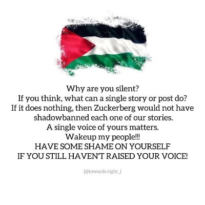 🇵🇸❤️🇵🇸