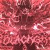 royalking (@boonequami6418) Twitter profile photo royalking (@boonequami6418) Twitter profile photo