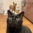 taemi_1021